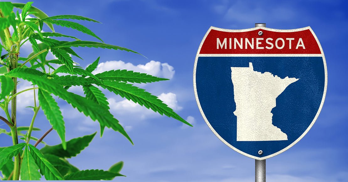 Minnesotans Can Begin Applying for Adult-Use Cannabis Licenses Beginning June 24