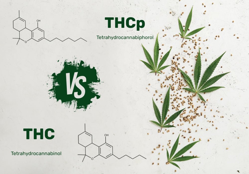 THCP vs THC: What’s the Difference and Which Is Stronger?
