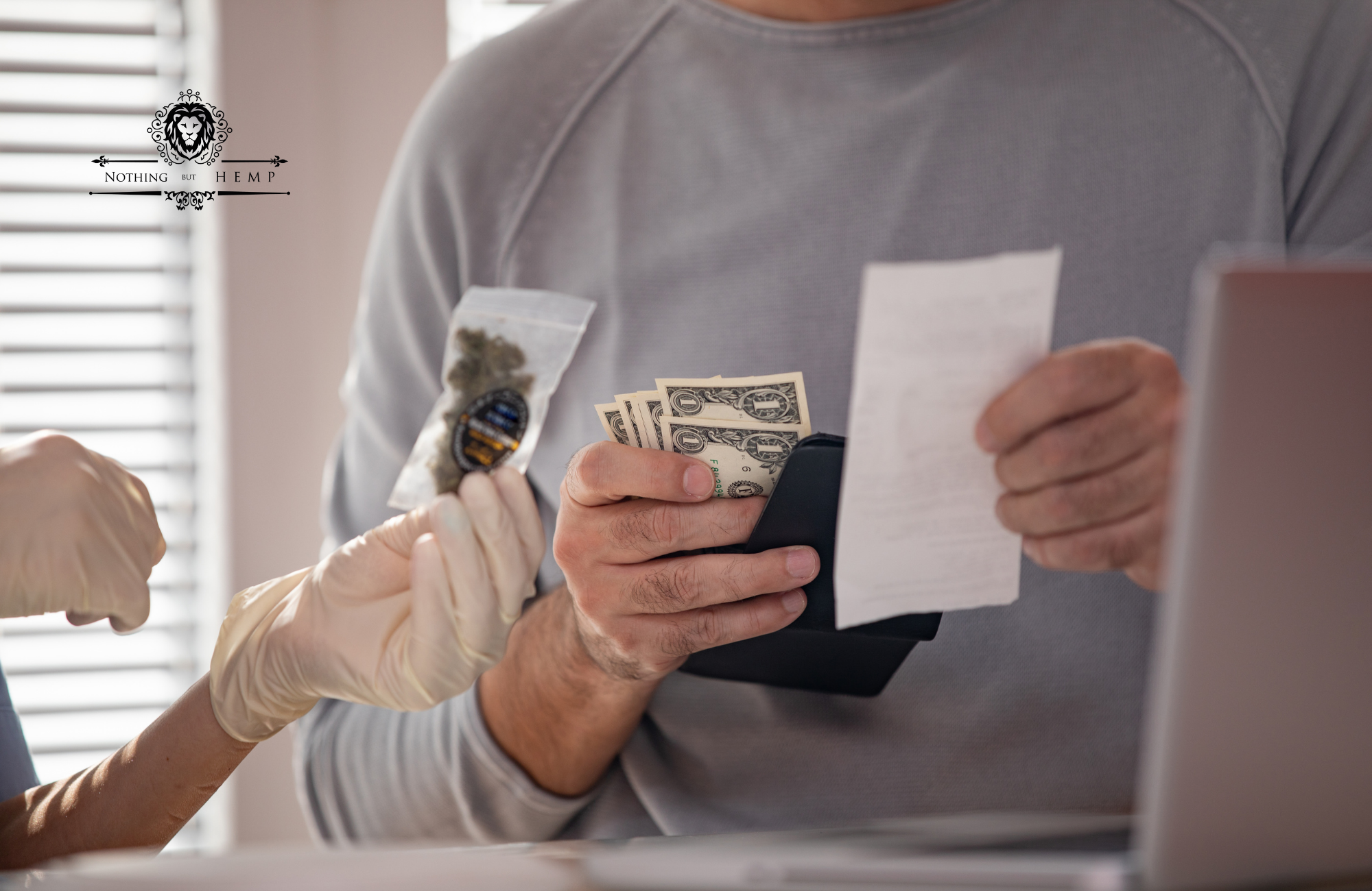 Buy Delta 8 THC in Tampa, Florida