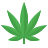 Sativa