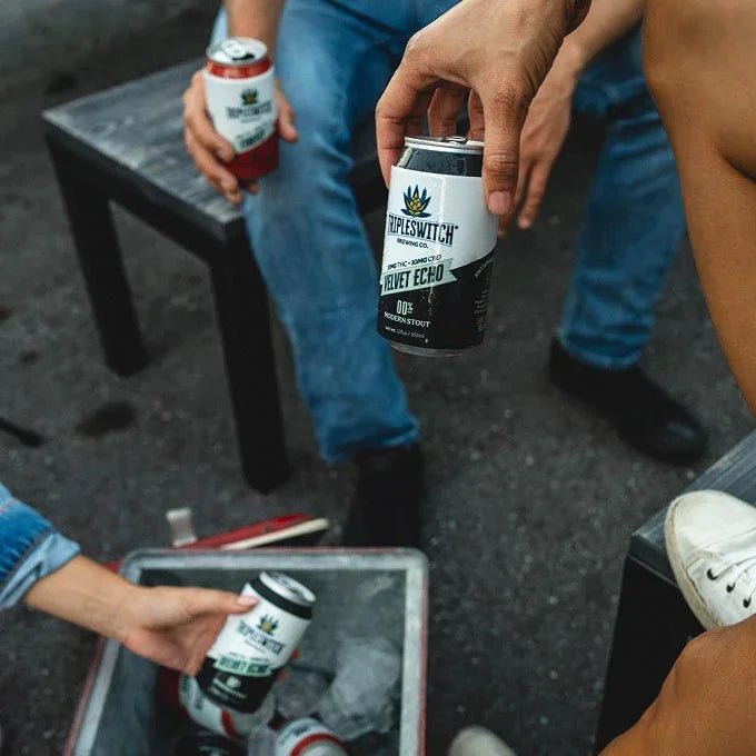 Velvet Echo | Modern Stout | 4-Pack