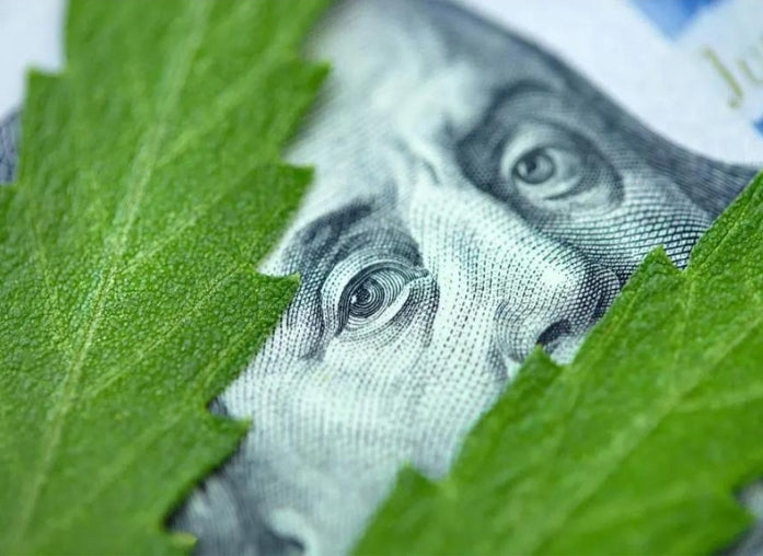 Legalizing Recreational Cannabis May Save the American Economy