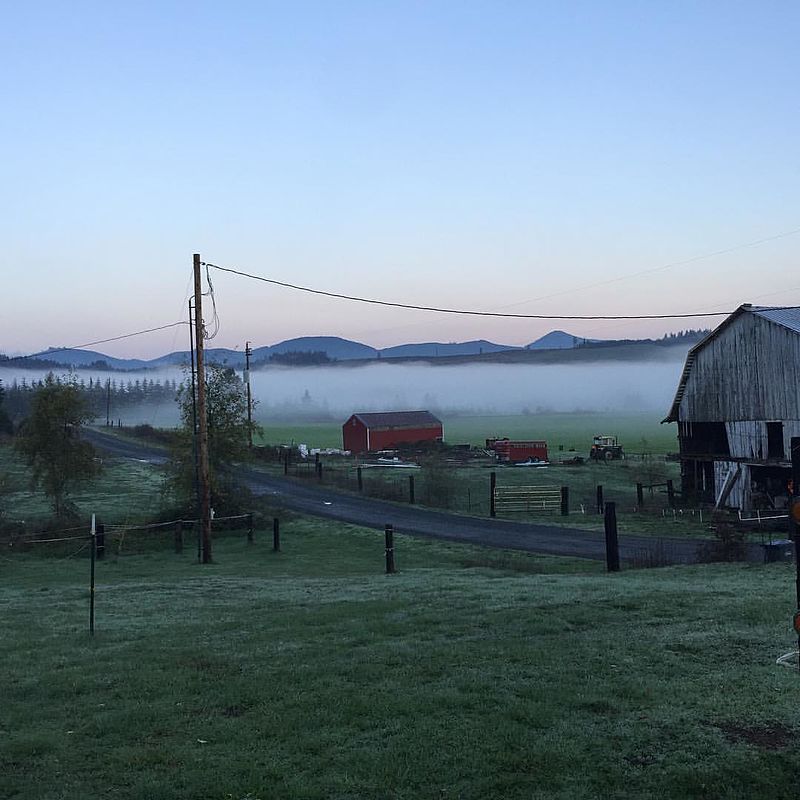 Hemp news roundup: USDA rules draw praise, states move forward with planting and legalizations