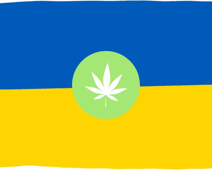 Hemp Is Helping Rebuild Ukraine