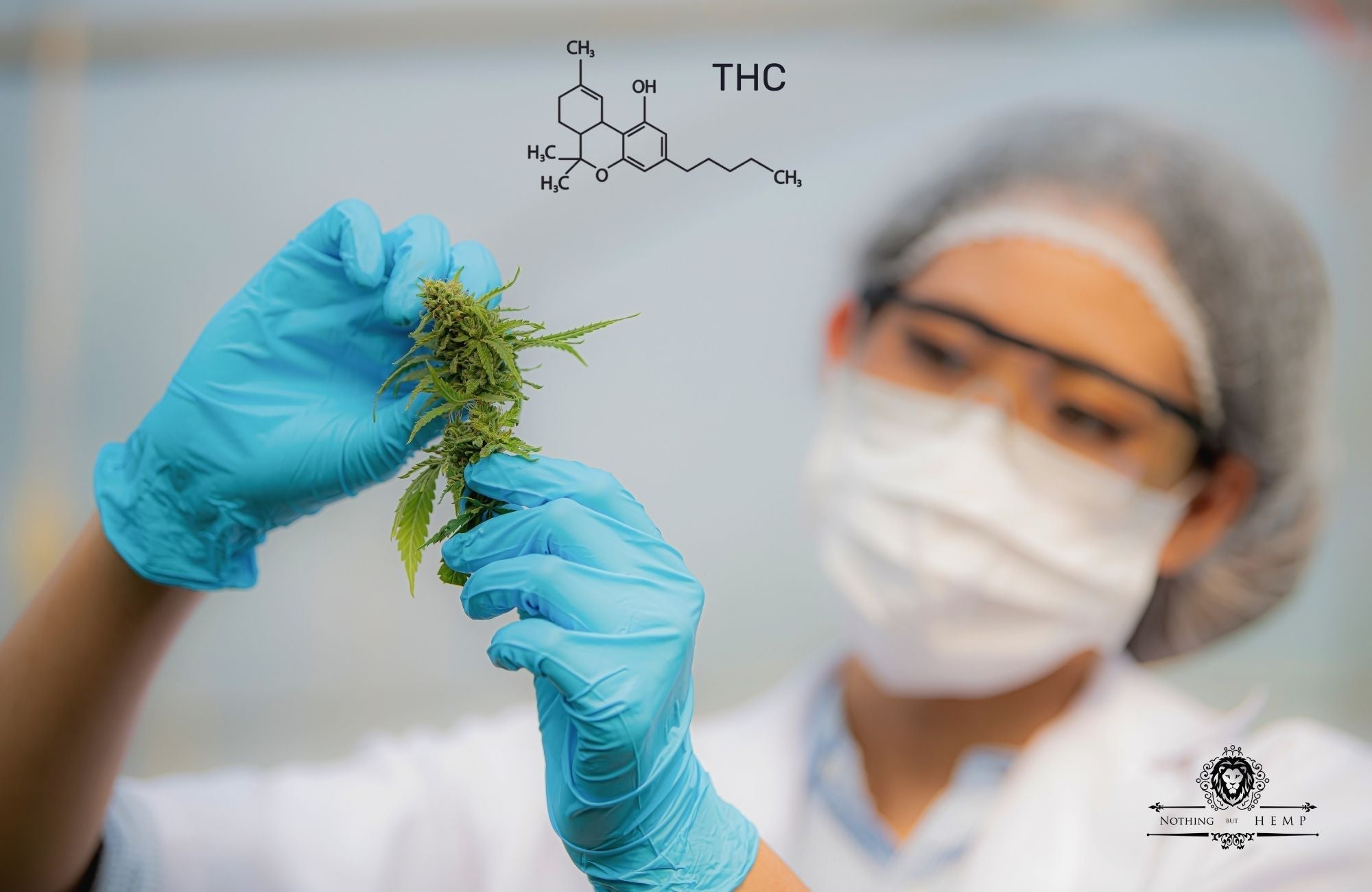 How Long Does THC Stay in Your System?