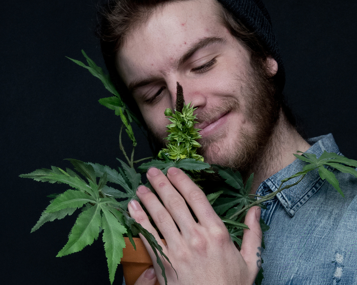 The ‘lazy stoner’ stereotype is a myth, research suggests