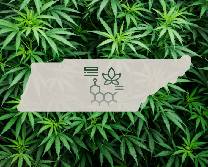 Bill to ban hemp-derived THC goes before Tennessee lawmakers