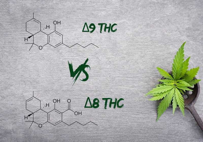 Delta-8 vs Delta-9 THC: Effects, Benefits, and Legal Status