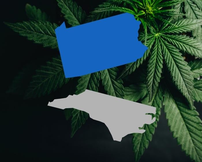 PA Company to Invest $10.9 Million in NC Hemp Fiber Company