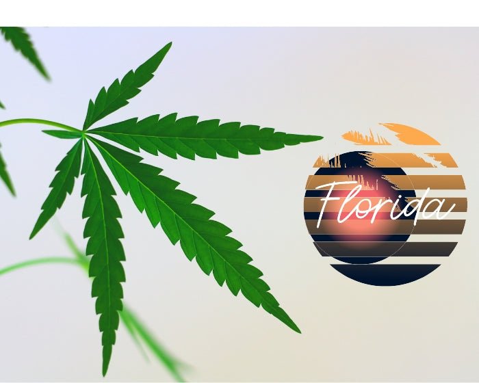 Florida’s Proposed Hemp Restriction Bill Raises Serious Concerns