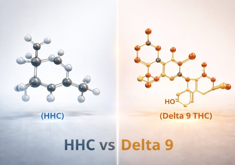 HHC vs Delta 9: Effects, Legality, and Safety Guide