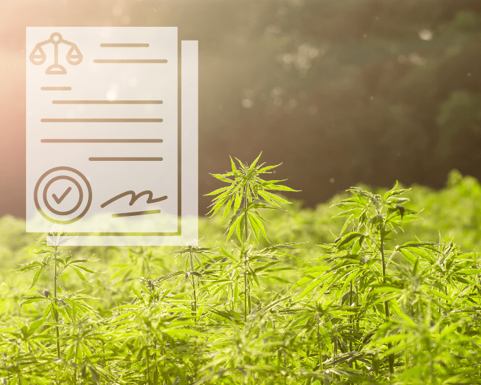 Inflation Reduction Act is good news for hemp farmers