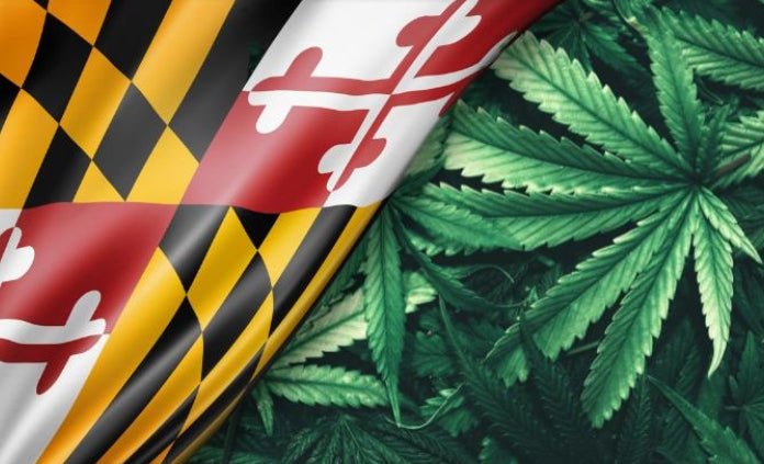 Maryland Hemp Businesses Suing Governor and State Agencies Over New Law Threatening CBD Market