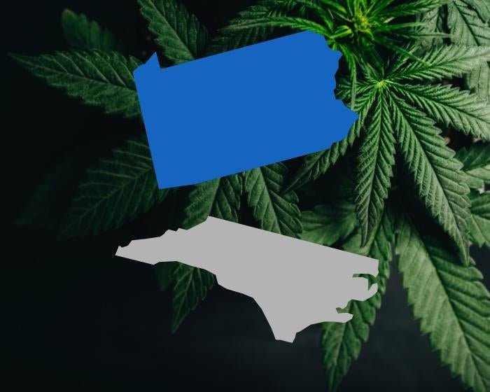 PA Company to Invest $10.9 Million in NC Hemp Fiber Company