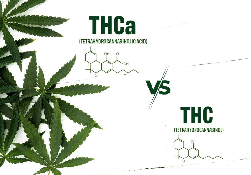 THCA vs THC: Effects, Potency, and Legal Status Explained