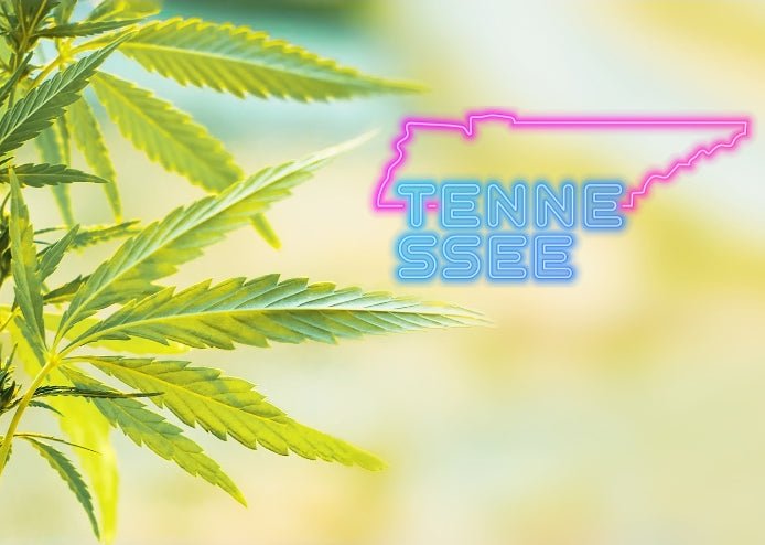TN General Assembly Approves New Hemp-Derived Cannabinoid Regulations