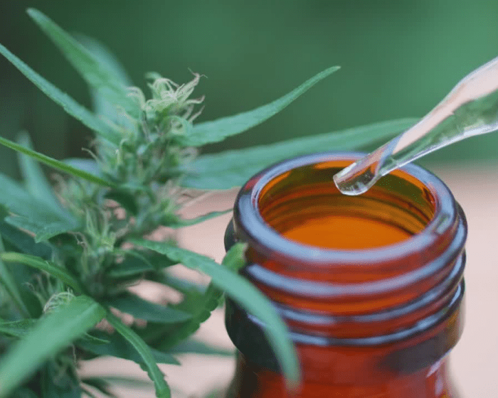 What are the FDA’s concerns with CBD?