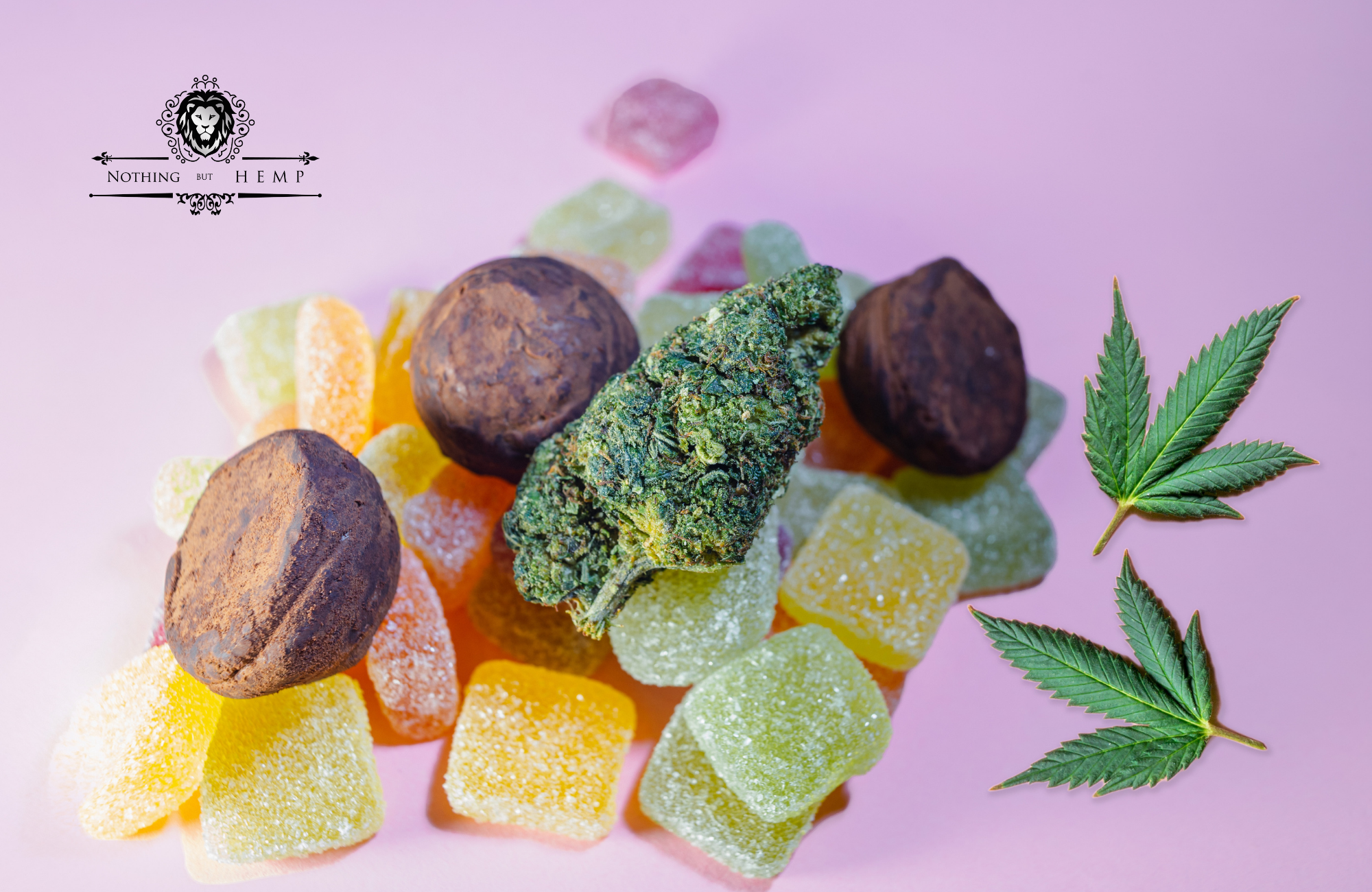 Buy Delta 9 THC Gummies Online in Bulk