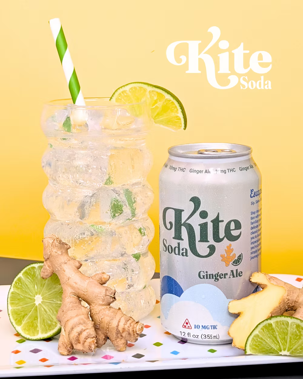 Ginger Ale THC Soda | 4-Pack