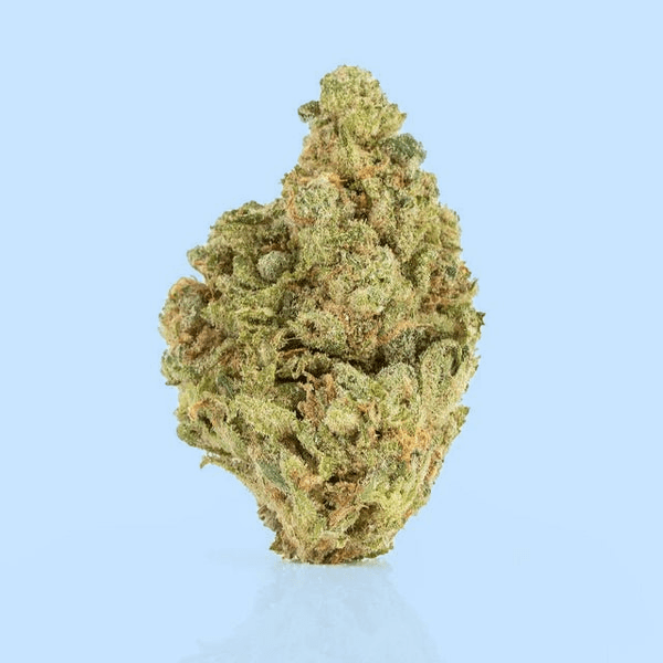 Blue Dream – Sativa | 3.5g THCA Flower