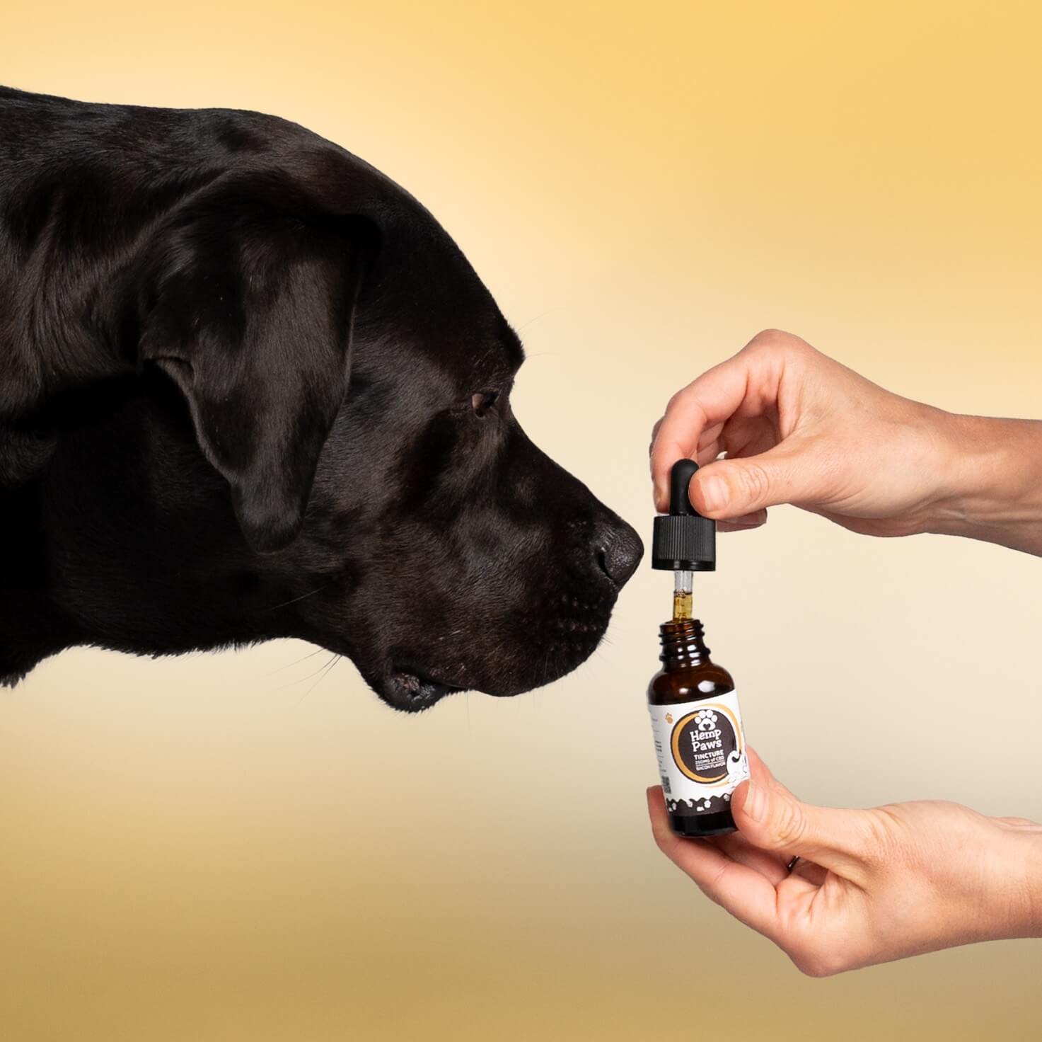 Hemp Paws CBD Pet Tincture – 250mg Hemp Extract (1oz)