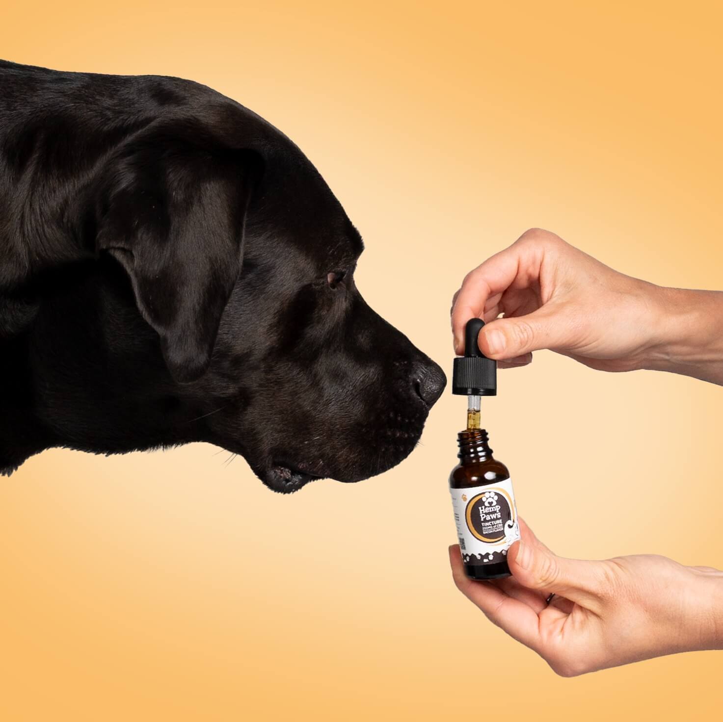 Hemp Paws CBD Pet Tincture – 250mg Hemp Extract (1oz)
