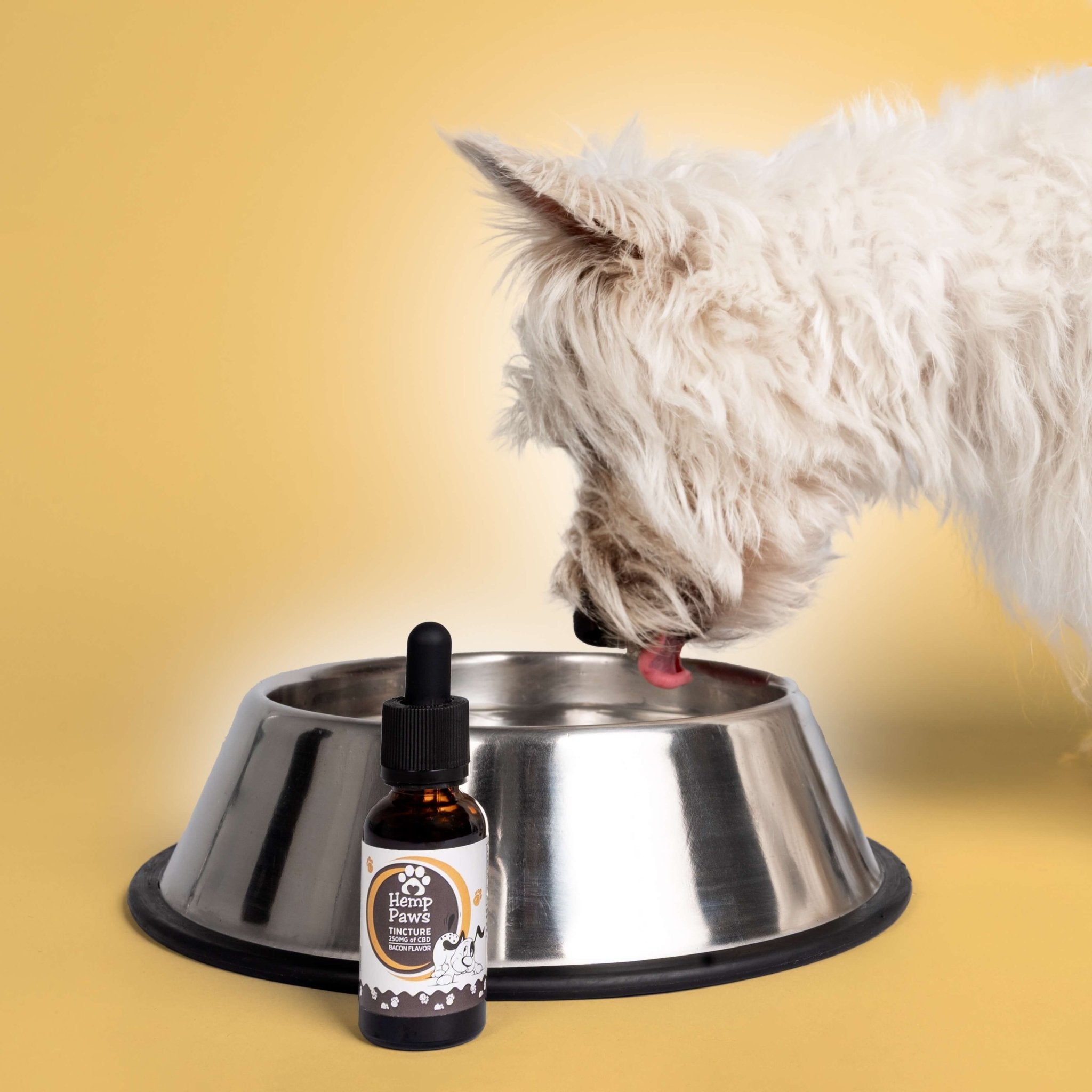 Hemp Paws CBD Pet Tincture – 250mg Hemp Extract (1oz)