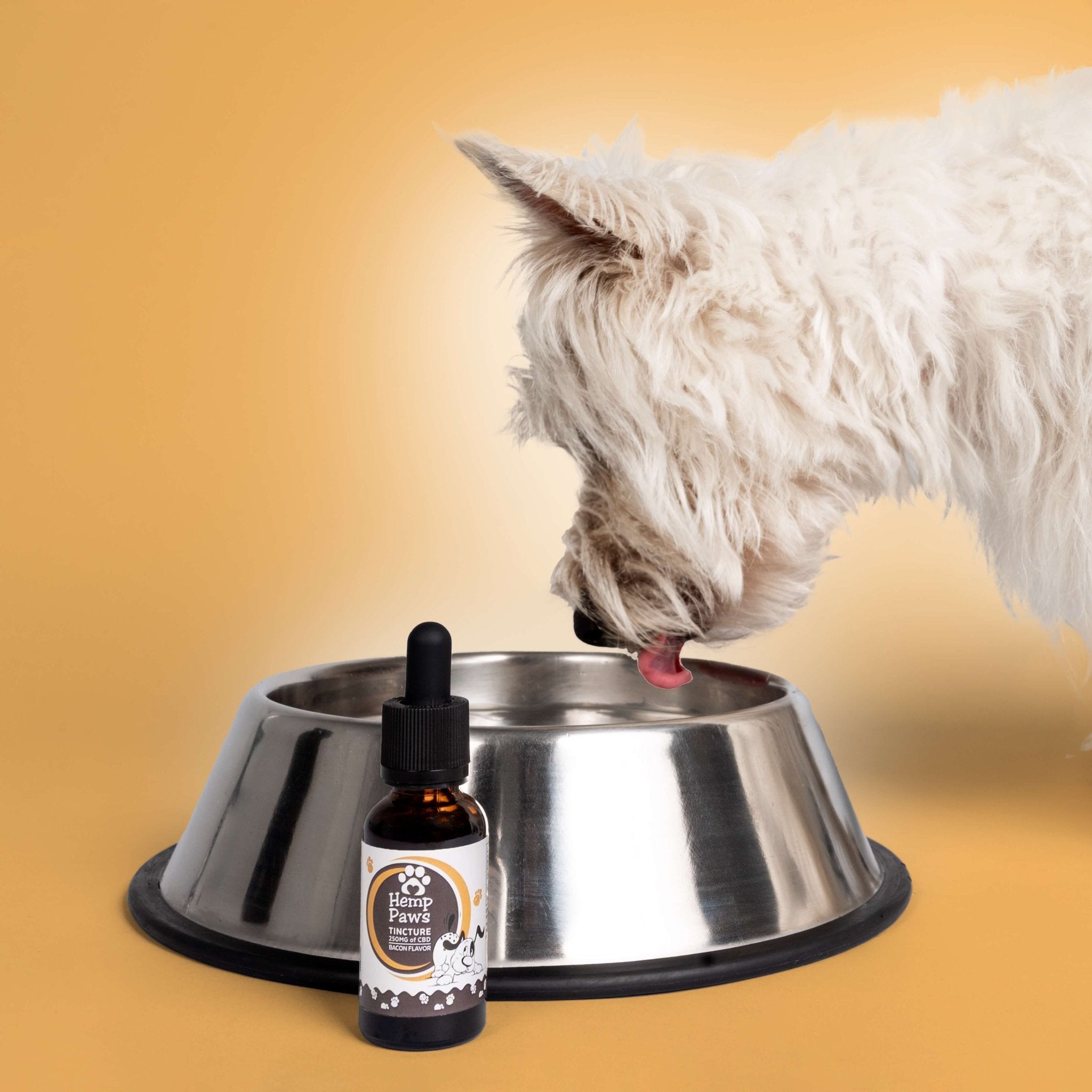 Hemp Paws CBD Pet Tincture – 250mg Hemp Extract (1oz)