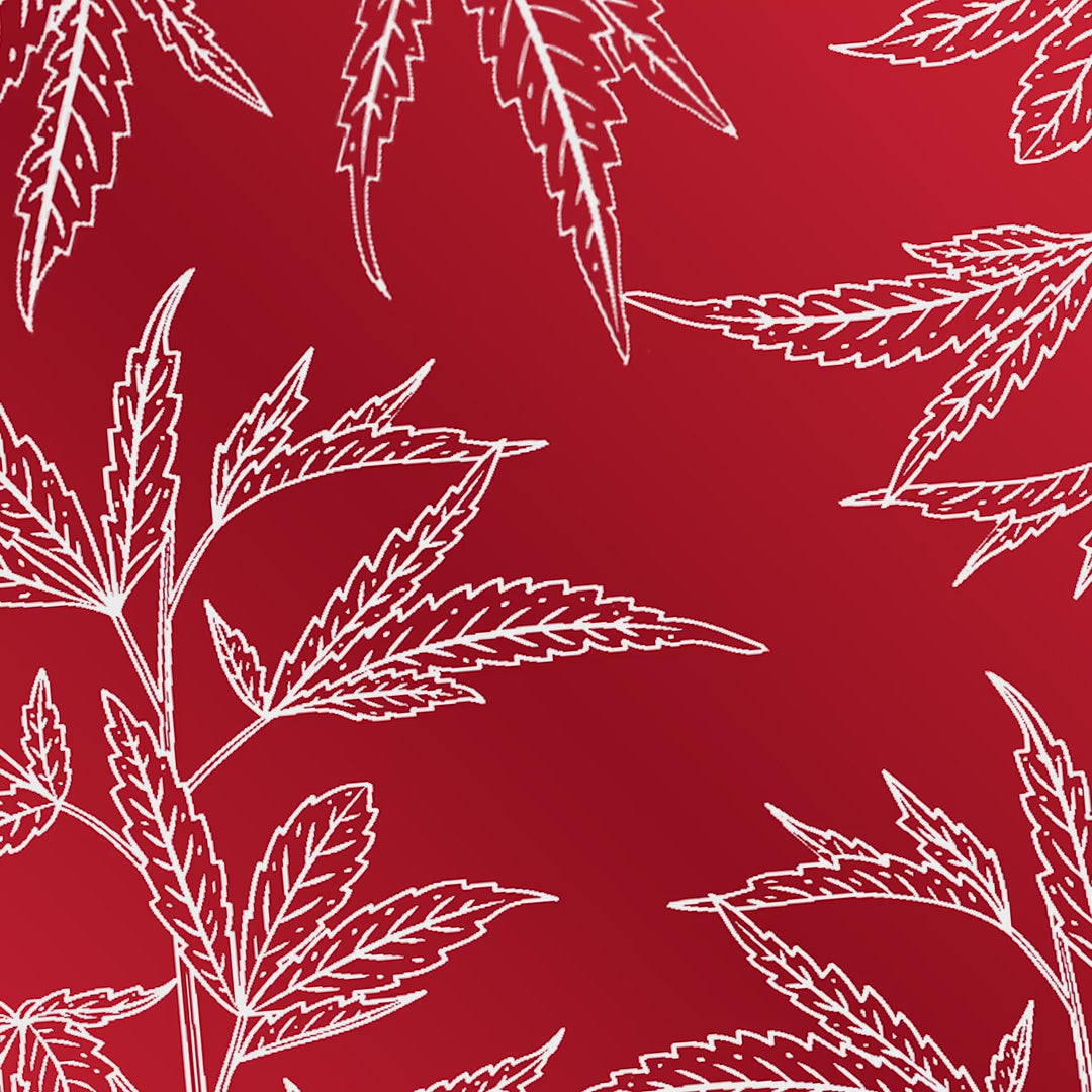 Live Rosin THC Gummies | 100MG | Strawberry Lemonade | Nothing But Canna | Lion Series