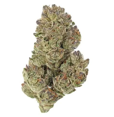 Super Silver Haze – Sativa | 3.5g THCA Flower