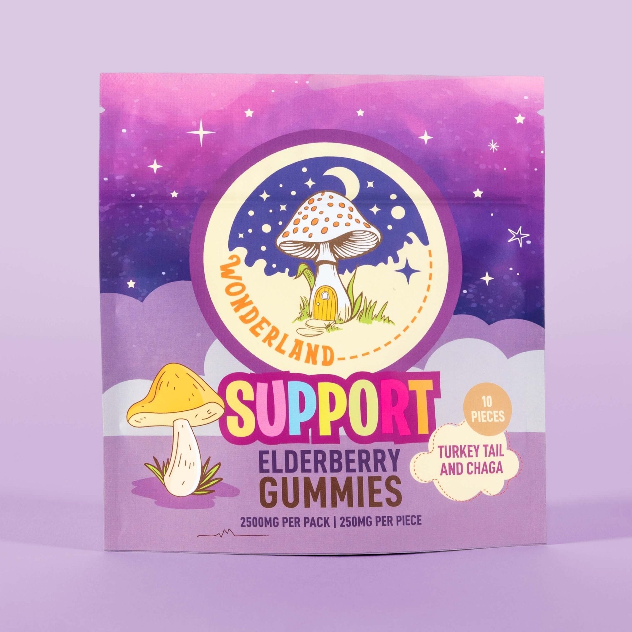 Turkey Tail & Chaga Mushroom Gummies for Support