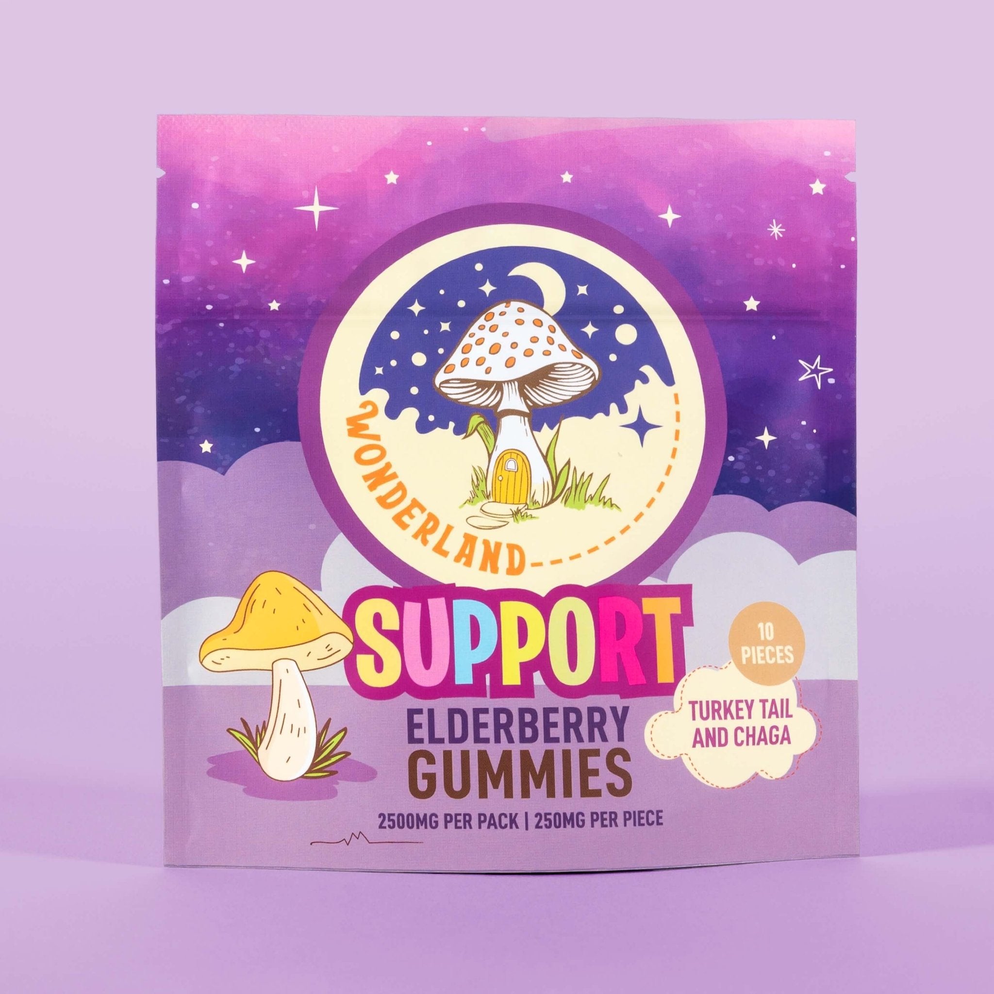 Turkey Tail & Chaga Mushroom Gummies for Support