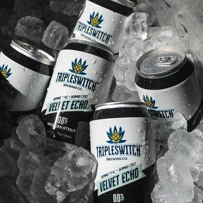 Velvet Echo | Modern Stout | 4-Pack